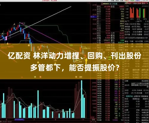 亿配资 林洋动力增捏、回购、刊出股份多管都下，能否提振股价？