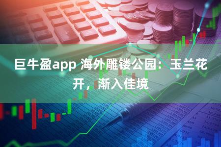 巨牛盈app 海外雕镂公园：玉兰花开，渐入佳境