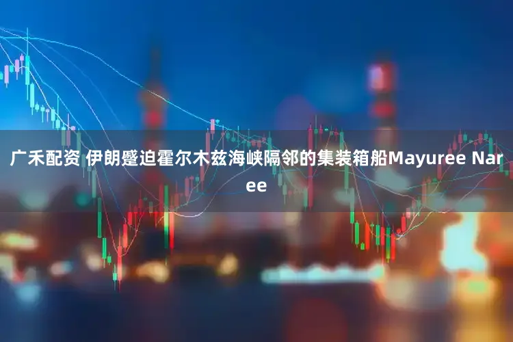 广禾配资 伊朗蹙迫霍尔木兹海峡隔邻的集装箱船Mayuree Naree