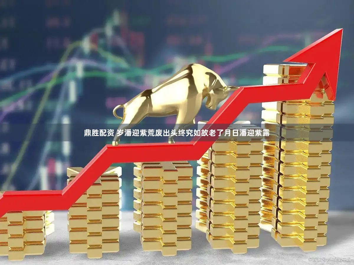 鼎胜配资 岁潘迎紫荒废出头终究如故老了月日潘迎紫露