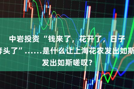 中岩投资 “钱来了，花开了，日子就有奔头了”……是什么让上海花农发出如斯嗟叹？
