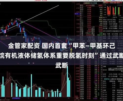 金管家配资 国内首套“甲苯—甲基环己烷有机液体储氢体系重要脱氢时刻”通过武断