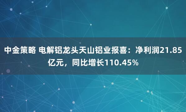 中金策略 电解铝龙头天山铝业报喜：净利润21.85亿元，同比增长110.45%