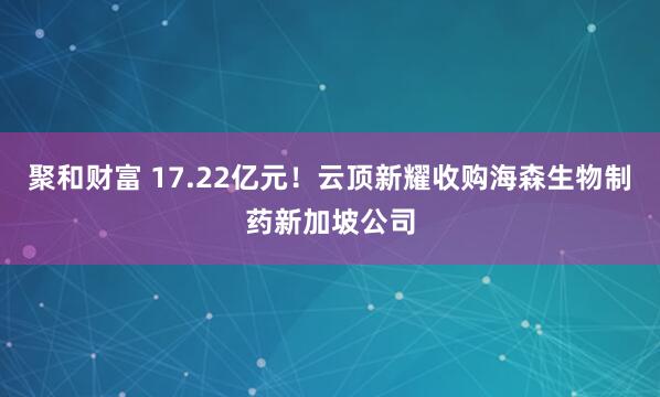 聚和财富 17.22亿元!云顶新耀收购海森生物制药新加坡公司