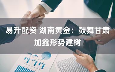 易升配资 湖南黄金:鼓舞甘肃加鑫形势建树