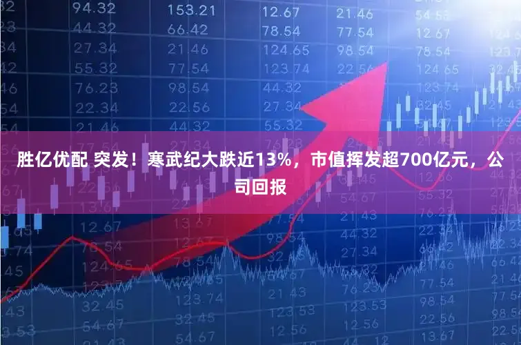 胜亿优配 突发!寒武纪大跌近13%,市值挥发超700亿元,公司回报