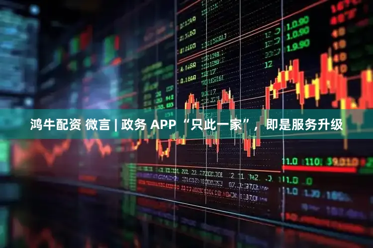 鸿牛配资 微言 | 政务 APP “只此一家”,即是服务升级