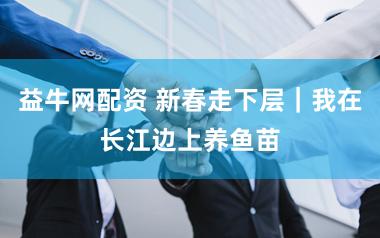 益牛网配资 新春走下层｜我在长江边上养鱼苗